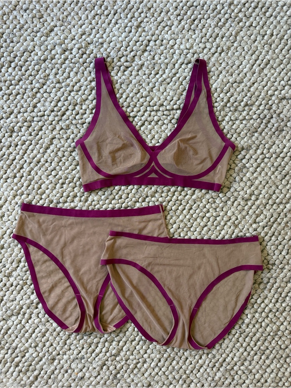 Eby Tan Mesh Plunge Bralette & Briefs Set with Plum Trim